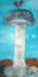 Il Fungo