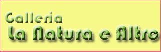 La Natura e Altro